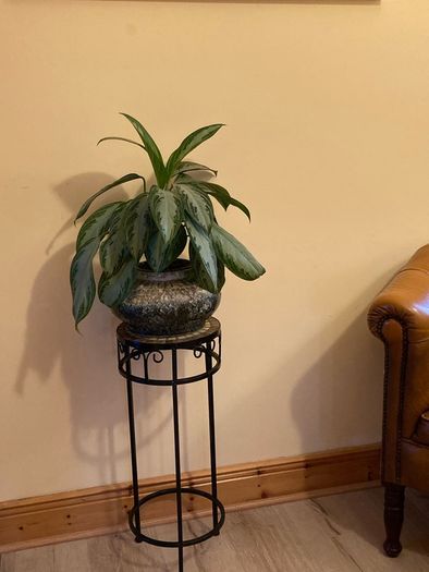 plant stand