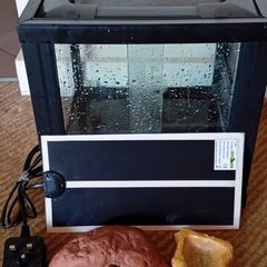 Terrarium spider gecko frog pet