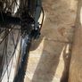 Voodoo Bantu 16" Frame Image 4