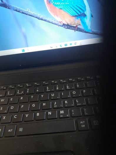 Toshiba Satellite Pro laptop