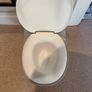 Potty with flush noises Image 2