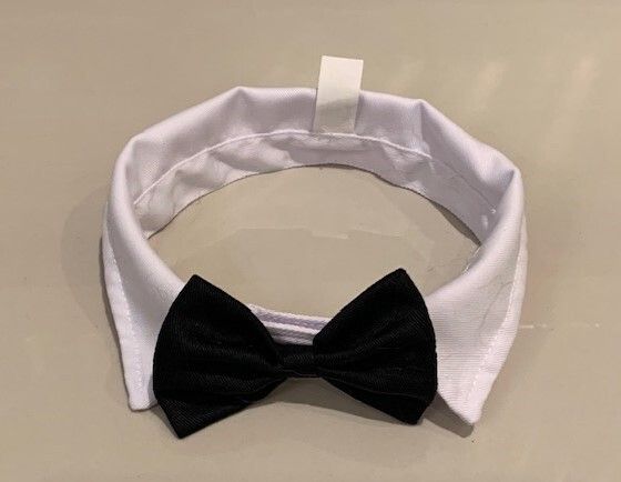 Bow Tie