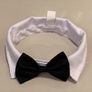 Bow Tie Image 2