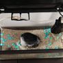 Small fish tank Image 4