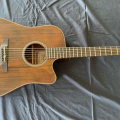 Takamine GD21CE-SM