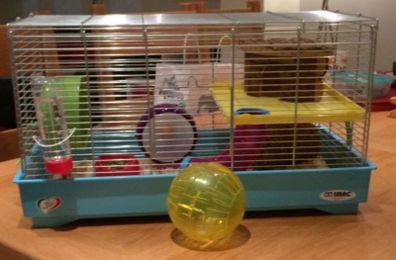 Hamster cage