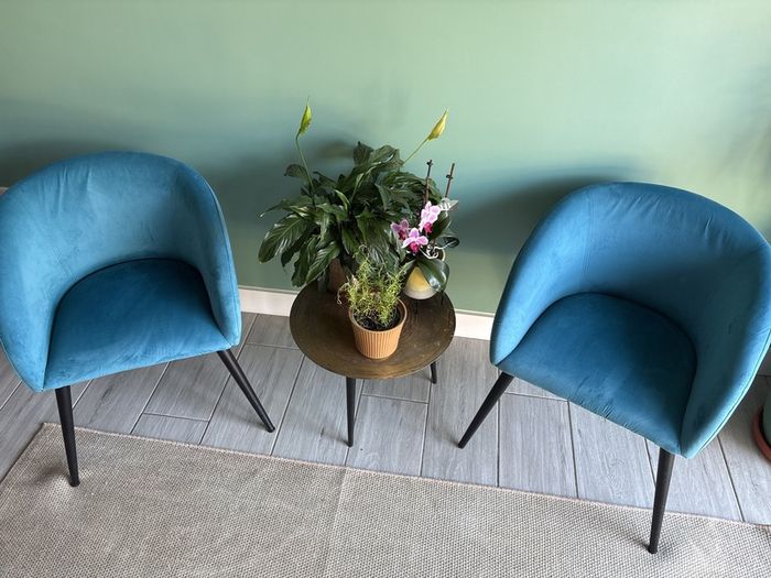 2 Blue Velvet Accent Chairs