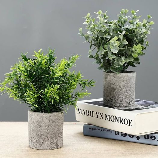 Pack of 5 Artificial Plants, Mini Artificial Plants Snake Tongue, Agave Succulent, Eagle Claw Aloe, Artificial Plants for Bedroom, Office, Decoration