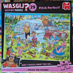 Wasgij Destiny 29 - Perfect Pitch