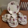 20 pcs Royal Stuart Image 6