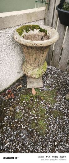 Antique garden flower pot