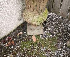 Antique garden flower pot