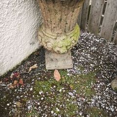 Antique garden flower pot