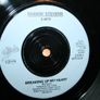 Vintage Vinyls Image 3