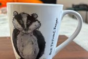 Price &amp; Kensington Back To Front fine White China Badger Mug
