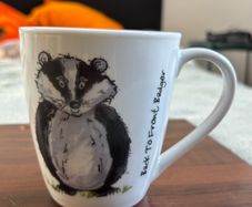 Price & Kensington Back To Front fine White China Badger Mug