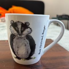 Price & Kensington Back To Front fine White China Badger Mug