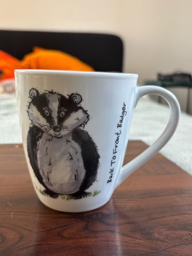 Price & Kensington Back To Front fine White China Badger Mug