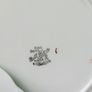 Bell china square plates, green china Image 10