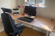 Standing desk (Scandic) - beech top - 200cm x 80cm