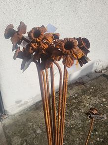 Corten steel Daffodil flower stems