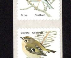 2002 Ireland 41c self -adhesive (Chaffinch & Goldcrest) coil issue printed by SNP in Lithography Mint Never Hinged (MNH)