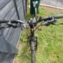 Bentini Raptor 26 Image 2