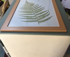 Glass Frame 66" x 49" BNWOT