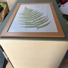Glass Frame 66" x 49" BNWOT