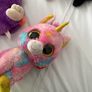 beanie boo with tags Image 7