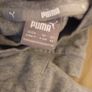 Baby Puma Image 4