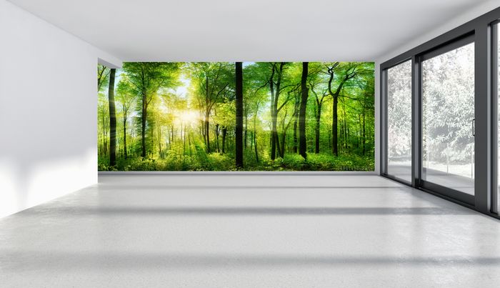 Non-woven Wall Mural / Photo Wallpaper