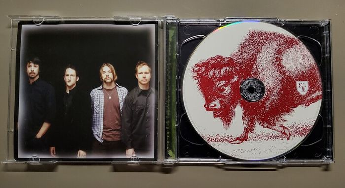 Foo Fighters - In Your Honor CD [2 Discs]