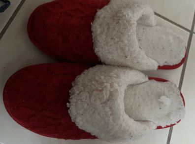 Red Fleece Slippers