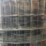Galvanised Mesh Roll 25 x 25 Image 3