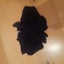 Boys brand new socks Image 5