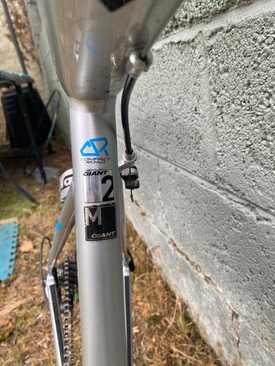 Giant Defy 2 Mens Road Bike