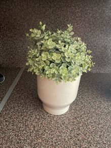 flower only