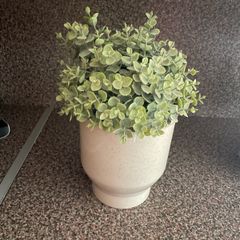 flower only