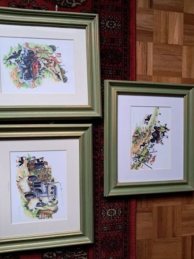 Beautiful Set of 3 Framed "Country Comicals" Prints by Linda Birkinshaw