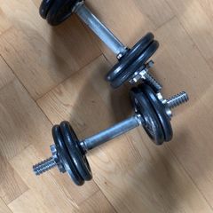 Pro Power Adjustable Dumbells