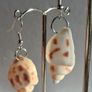 Babylonia Areolata Shells Earrings Image 3