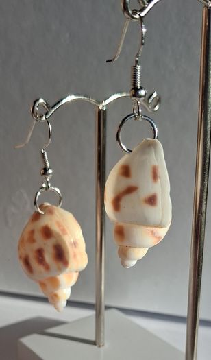 Babylonia Areolata Shells Earrings