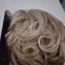 Curly Palm New Image 3