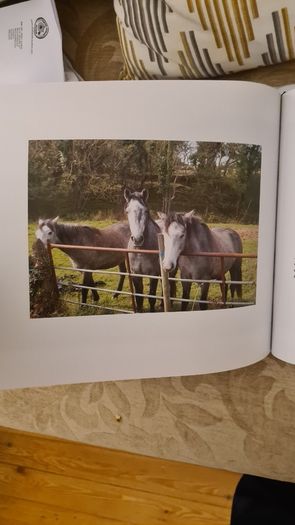 Stories From Life By Ignatius Waters. C. P. Beautiful Illustrated Large Volume Hardback With Dustjacket In Very Good Condition.make Lovely Christmas Present. 34.