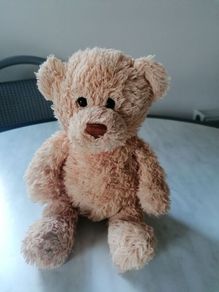 Teddy Bear
