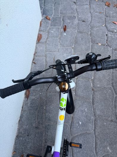 Frog bike (size 44 - age 3-6)