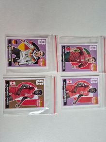 Panini 2026 World Cup Extra Stickers