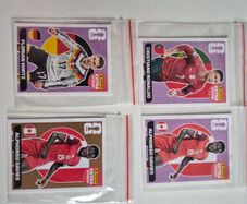 Panini 2026 World Cup Extra Stickers
