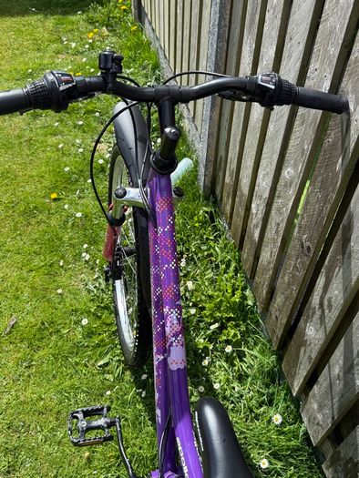 Apollo Independence 26 Inch Bike